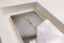 FRAME 11x14" (28x35cm)